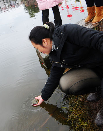 昨日玉龙湖放生节开幕&nbsp;众明星打造视听盛宴(图3)