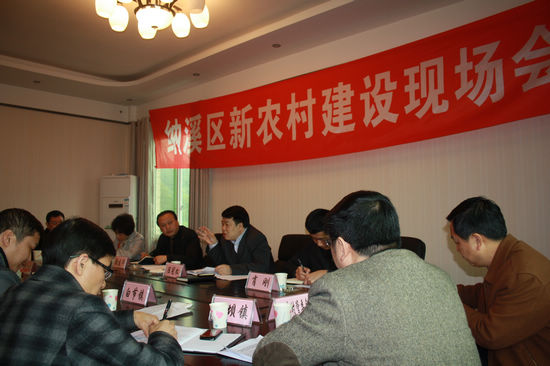 陈冠松实地督查纳溪新农村建设第一季度工作情况(图2)