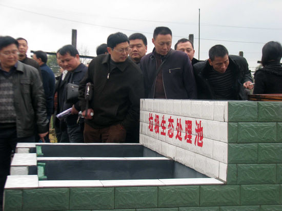 大渡口镇：完善垃圾处理体系&nbsp;促进绿色生态建设(图1)