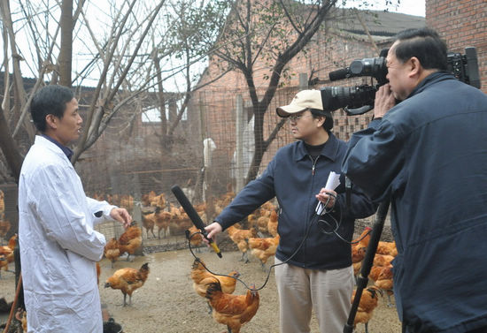 央视关注泸州龙马潭区特色农业发展(图2) 央视关注泸州龙马潭区特色农业发展(图2)