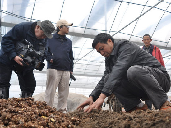 央视关注泸州龙马潭区特色农业发展(图1) 央视关注泸州龙马潭区特色农业发展(图1)