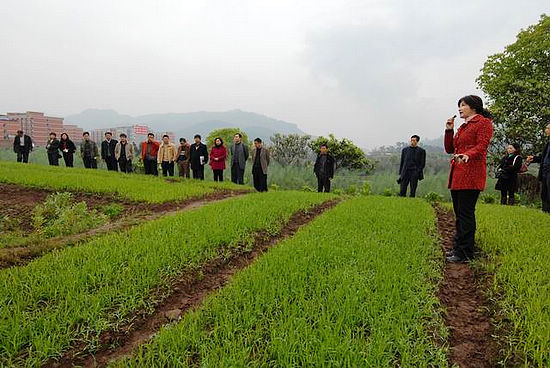 泸县村（社区）书记、主任培训相继开班