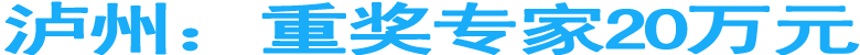 泸州：重奖专家20万元
