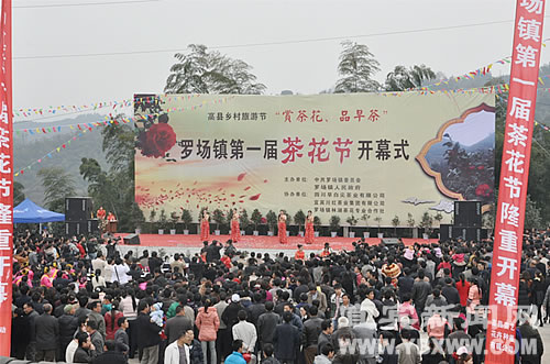 “高县乡村旅游节&nbsp;罗场镇第一届茶花节”开幕(图1)
