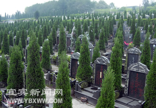 每平米均价过万&nbsp;活人抢墓为哪般？(图2)