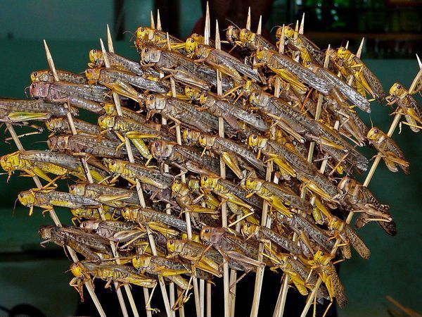 外国人眼中各国特色小吃(图9)