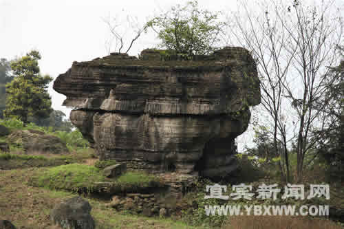 长宁一岩石&nbsp;“鼎”立5亿年(图1)