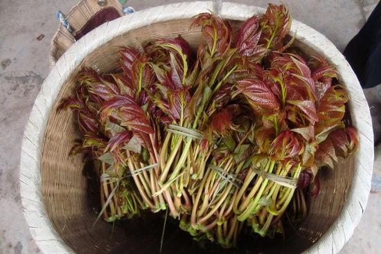 合江县农民生财有道：树叶“变”成佐料卖(图2)