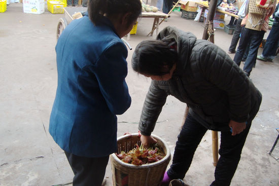 合江县农民生财有道：树叶“变”成佐料卖(图1)