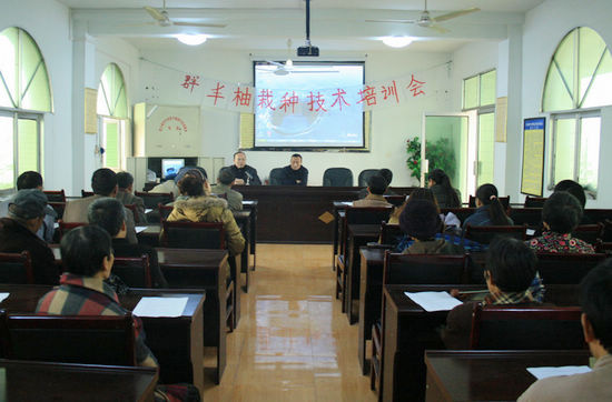 罗汉镇开展柚子栽培技术培训(图1) 罗汉镇开展柚子栽培技术培训(图1)