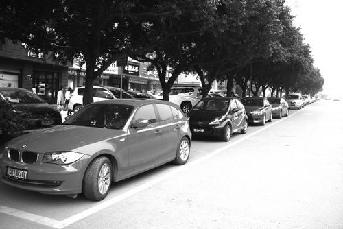 临时占道停车收费&nbsp;让文明出行成自然(图1)