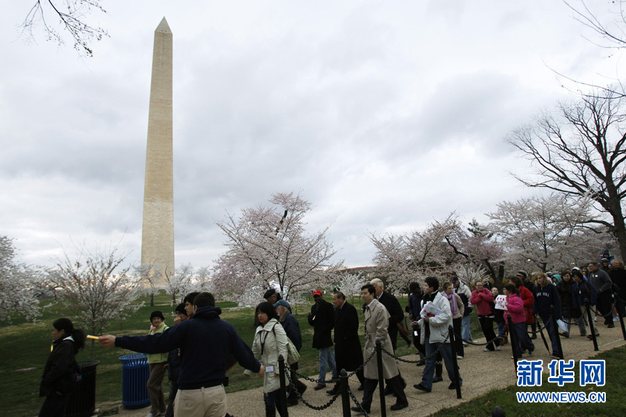 全球"樱花节"大赏(图17)