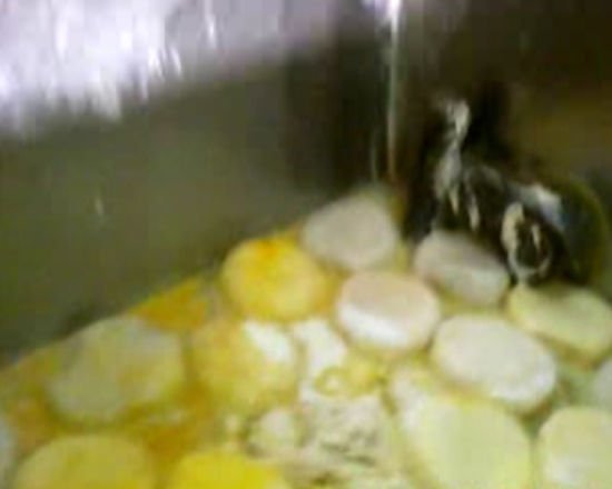 上海华联等超市被曝多年销售染色馒头(图4)