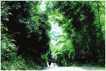 游醉&nbsp;竹海酒海(图3)