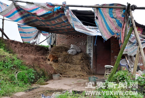 宜宾：一桥建了6年&nbsp;谁在阻挡天池大桥通车？(图5)