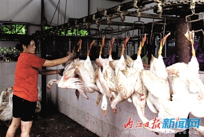 新型城镇化：内江市近半乡镇已与城市“接轨”(图2)