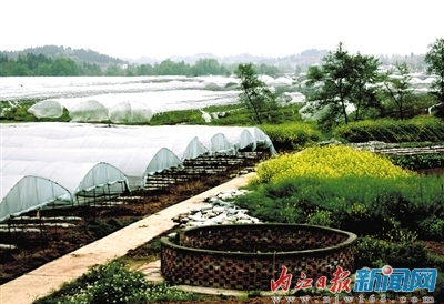 新型城镇化：内江市近半乡镇已与城市“接轨”(图9)