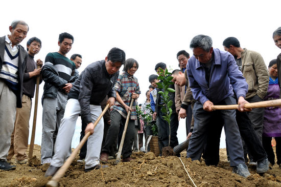 水潦乡：25万株甜橙圆了彝民致富梦(图2)