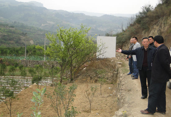 叙永赤水河甜橙达到省级农业标准化示范水平(图2)