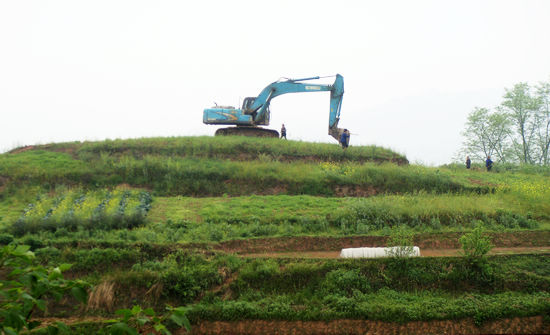 白米乡：措施得力&nbsp;有序推进土地整理(图2)