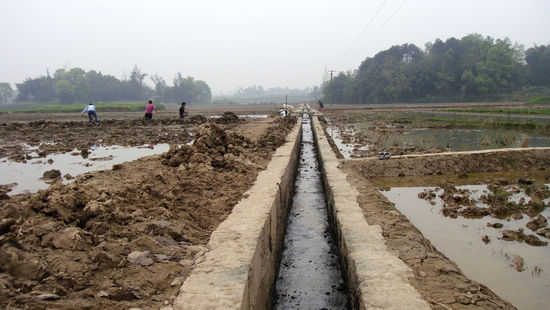 白米乡：措施得力&nbsp;有序推进土地整理(图1)