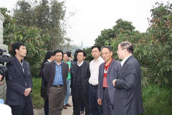 中国科协检查组到泸县海潮镇检查指导(图1)