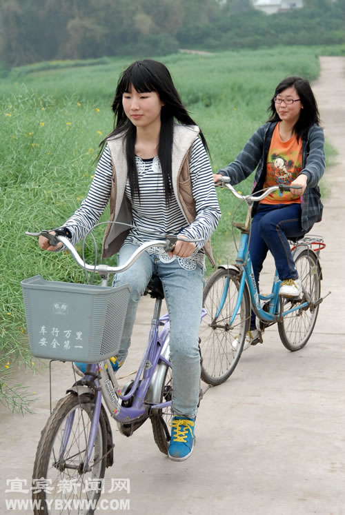 橙花节前奏：橙花飘香醉游人(图6)