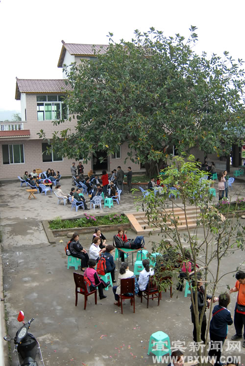 橙花节前奏：橙花飘香醉游人(图4)