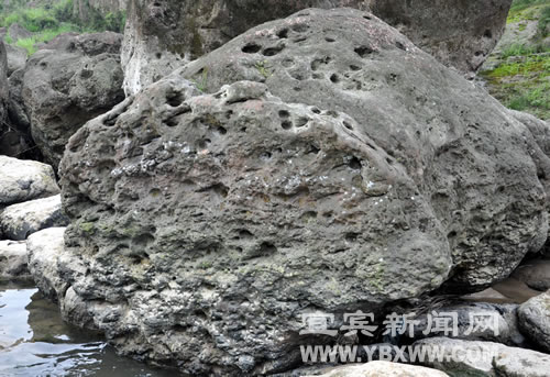 宜宾：岷江边现怪石群&nbsp;蜥蜴蟾蜍栩栩如生(图4)