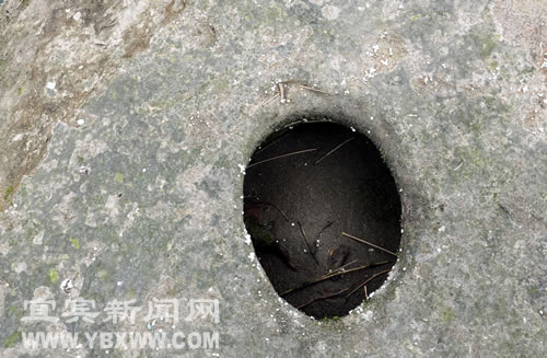 宜宾：岷江边现怪石群&nbsp;蜥蜴蟾蜍栩栩如生(图5)