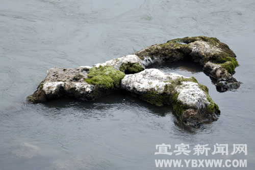宜宾：岷江边现怪石群&nbsp;蜥蜴蟾蜍栩栩如生(图7)