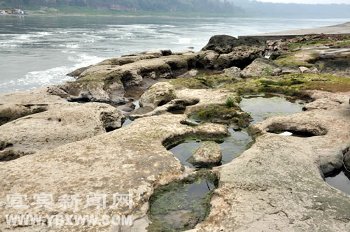 宜宾：岷江边现怪石群&nbsp;蜥蜴蟾蜍栩栩如生(图6)