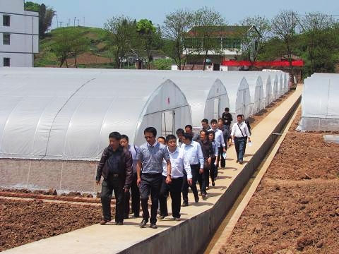 省农田水利工程建设检查组赴叙永检查"小农水"工程