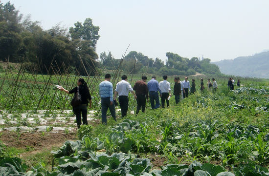 白米乡：农超对接破解蔬菜“卖难”(图2)