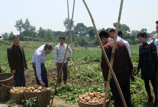 白米乡：农超对接破解蔬菜“卖难”(图1)