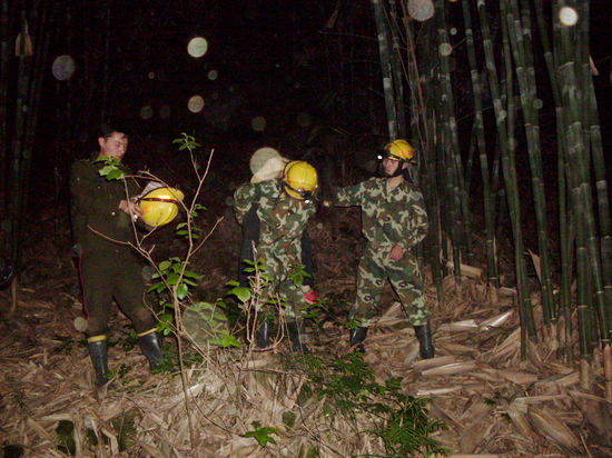 女子失足坠崖 合江消防官兵迅速营救(图3) 女子失足坠崖 合江消防官兵迅速营救(图3)