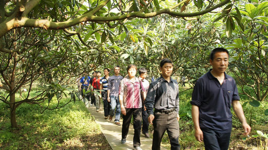 古蔺县村支部书记考察团赴天仙镇参观学习(图4) 古蔺县村支部书记考察团赴天仙镇参观学习(图4)