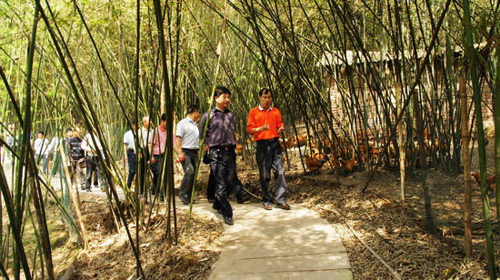 古蔺县村支部书记考察团赴天仙镇参观学习(图3) 古蔺县村支部书记考察团赴天仙镇参观学习(图3)