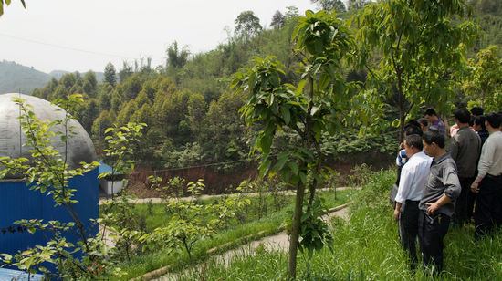 古蔺县村支部书记考察团赴天仙镇参观学习(图1) 古蔺县村支部书记考察团赴天仙镇参观学习(图1)