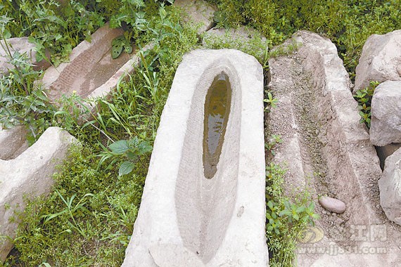 宜宾糟坊头遗址(图4)