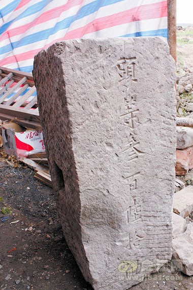 宜宾糟坊头遗址(图3)