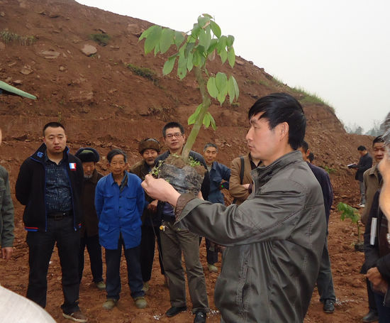 二里乡:“远程教育课堂”为百姓“谋幸福”(图1) 二里乡:“远程教育课堂”为百姓“谋幸福”(图1)