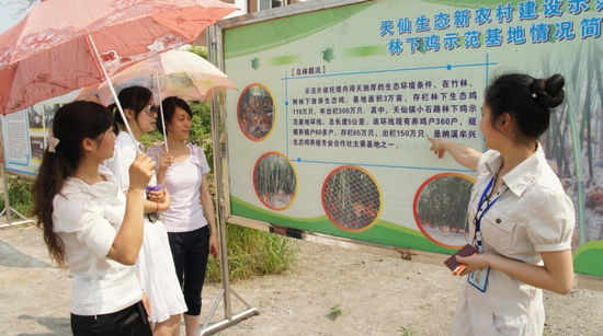 天仙镇：志愿者微笑服务&nbsp;缀亮美景(图3)