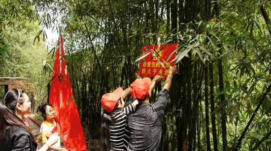 天仙志愿者&nbsp;青春在奉献中熠熠生辉(图2)