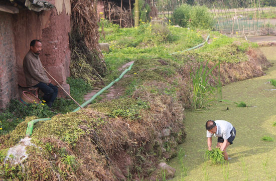 喻寺镇：党员“争优”促春耕(图1)