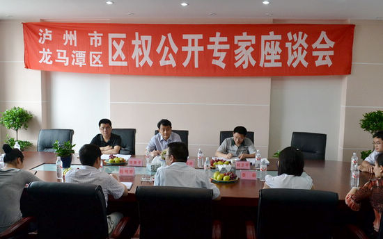 龙马潭区召开区权公开专家座谈会寻求智力支持(图1)