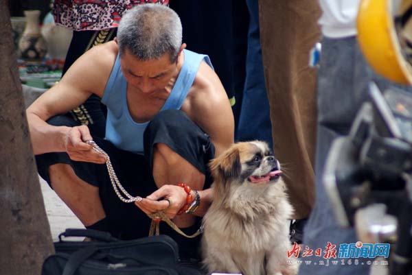 内江：古玩淘宝录(图3)