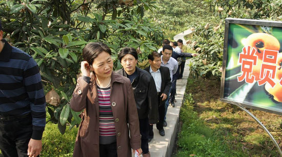 向青山绿水要效益&nbsp;天仙镇实现生态与经济效益双赢(图3)