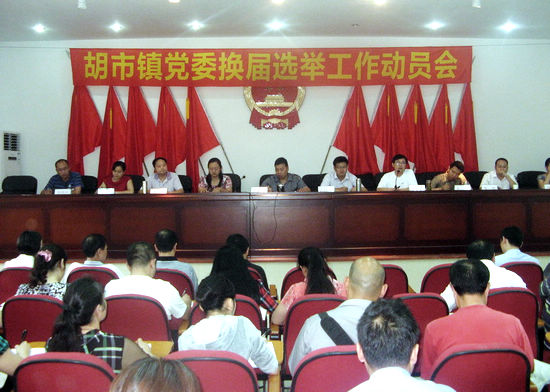 胡市镇“四个到位”做好党委换届工作(图1)