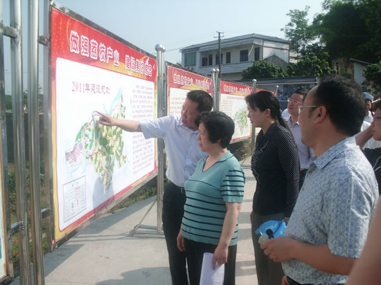 泸州市政协主席会议成员视察合江县新农村建设(图2)